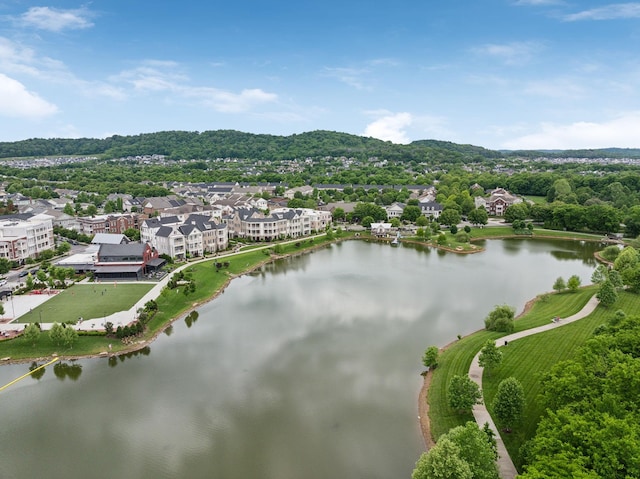 4091 Camberley St, Franklin, TN 37064 - aerial view of a nearby body of water