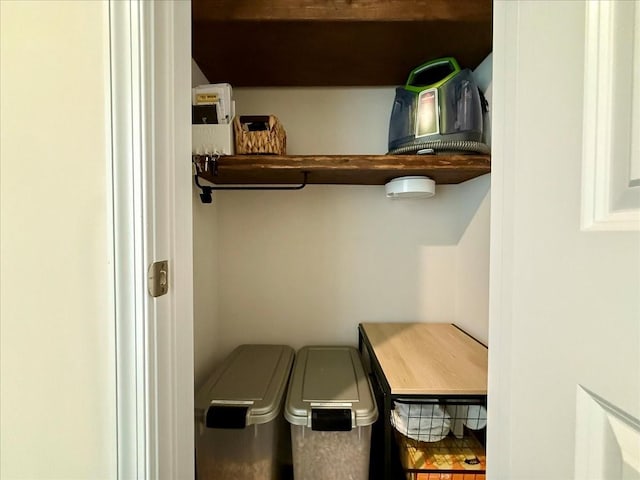 view of closet