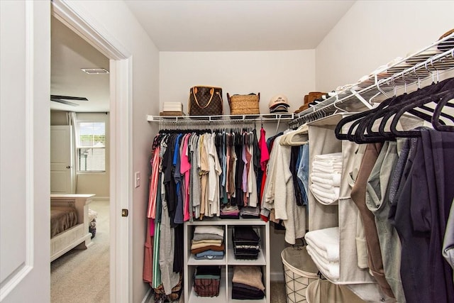 walk in closet with carpet flooring