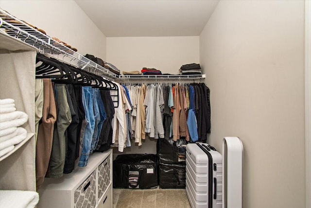 walk in closet with carpet floors
