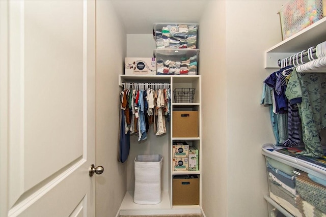 view of spacious closet