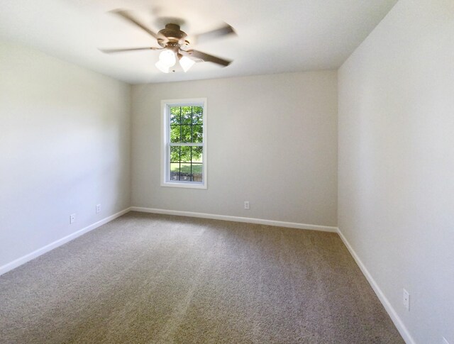 1907 Secretariate Ct, Clarksville, TN 37042 - photo 9