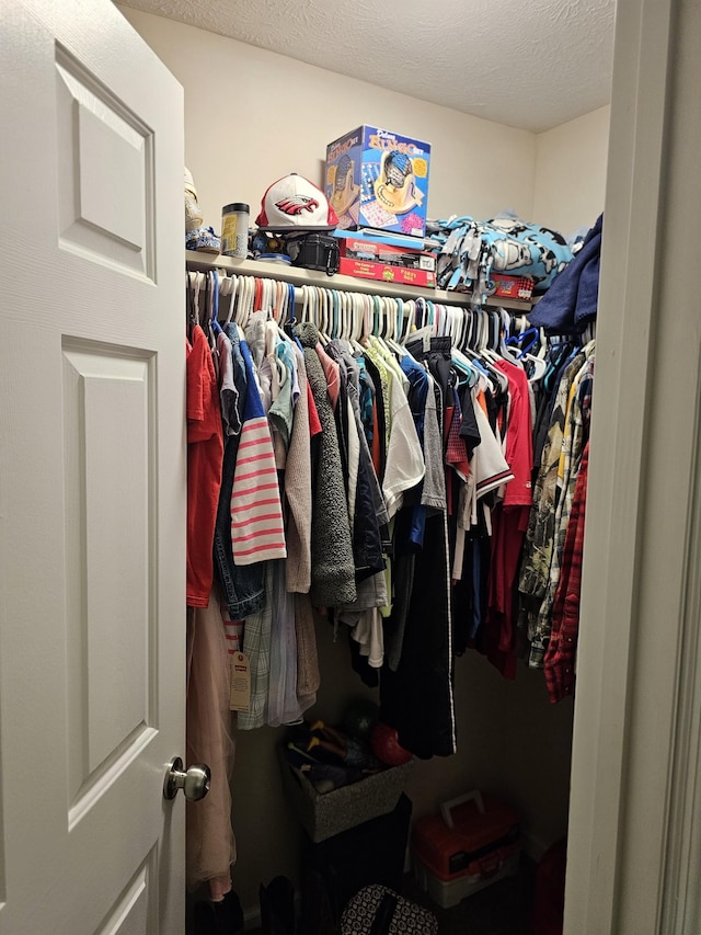 view of walk in closet