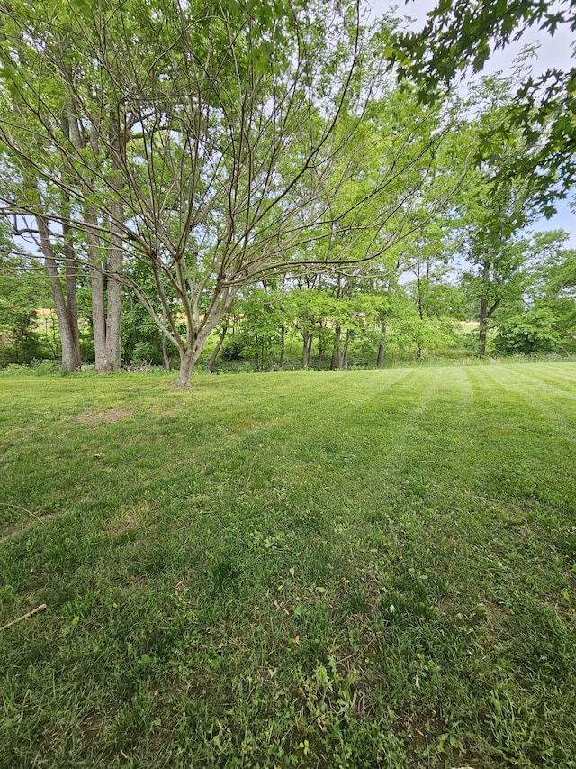 view of grassy yard