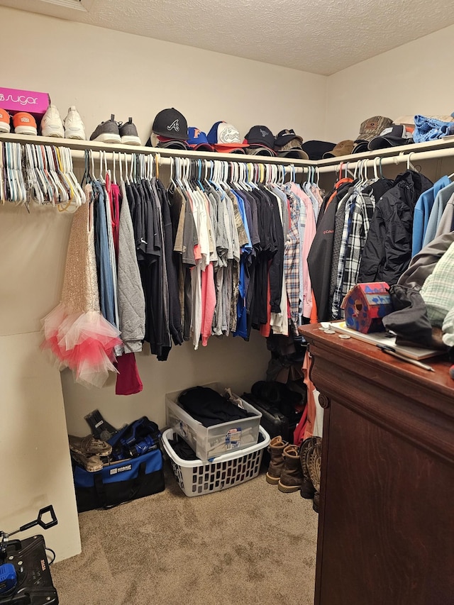 spacious closet featuring carpet