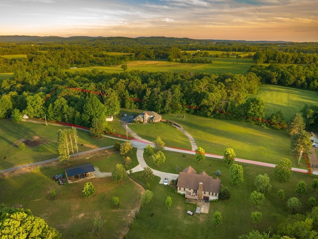 168 Maple Valley Ln, Cookeville, TN 38506 - aerial view at dusk of a wooded view