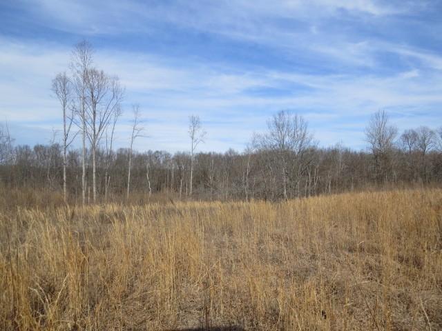 1074B Kersey Hollow Rd, Lynnville, TN 38472 - photo 21