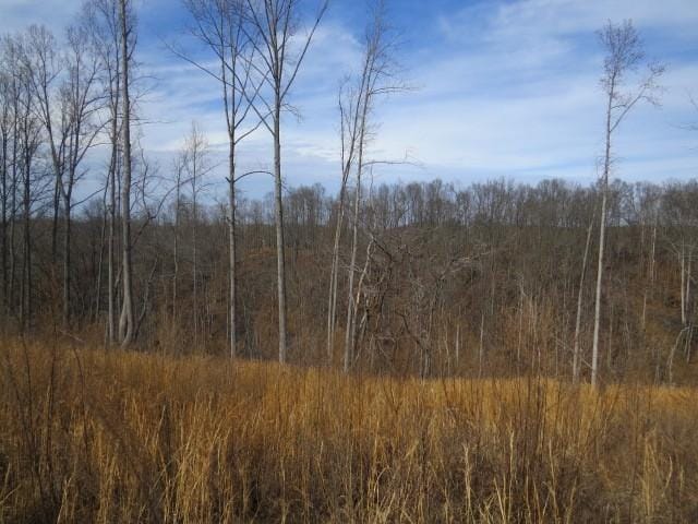 1074B Kersey Hollow Rd, Lynnville, TN 38472 - photo 7