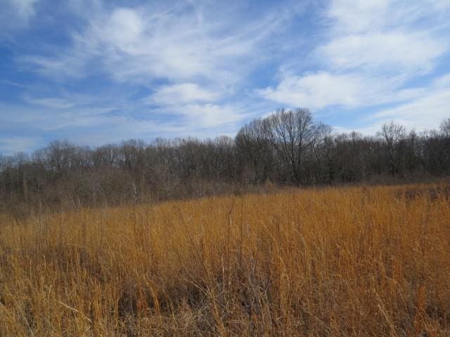 1074B Kersey Hollow Rd, Lynnville, TN 38472 - photo 5