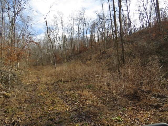 1074B Kersey Hollow Rd, Lynnville, TN 38472 - photo 17