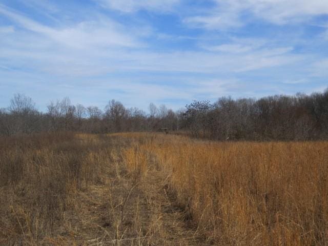 1074B Kersey Hollow Rd, Lynnville, TN 38472 - photo 25