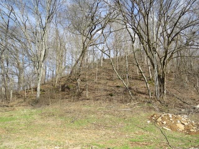 1074B Kersey Hollow Rd, Lynnville, TN 38472 - photo 3