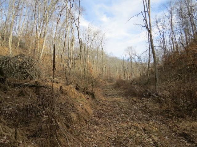 1074B Kersey Hollow Rd, Lynnville, TN 38472 - photo 13