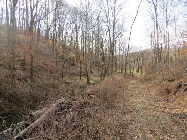 1074B Kersey Hollow Rd, Lynnville, TN 38472 - photo 9