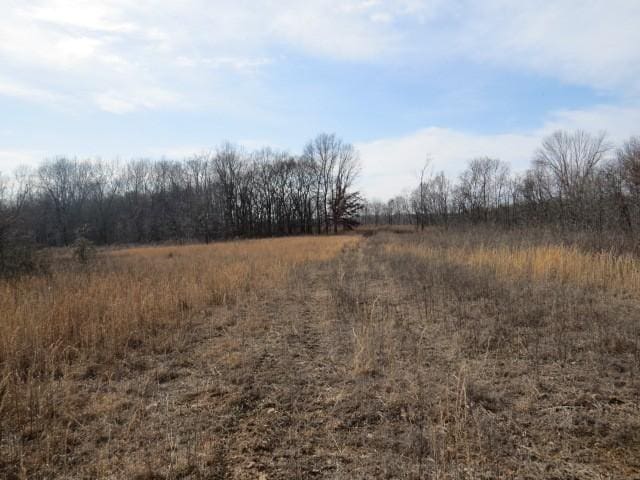 1074B Kersey Hollow Rd, Lynnville, TN 38472 - photo 23