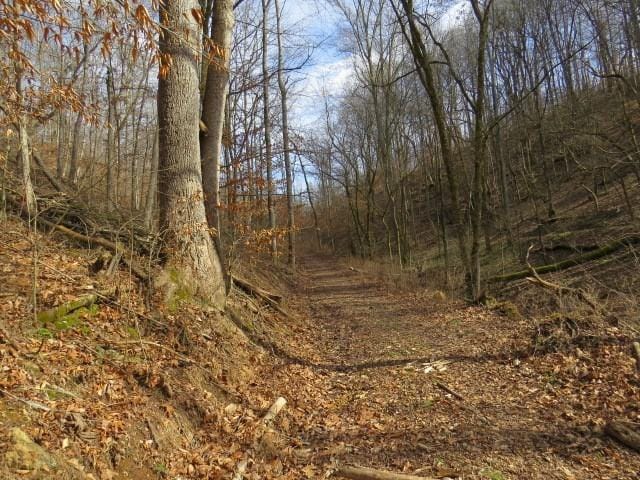 1074B Kersey Hollow Rd, Lynnville, TN 38472 - photo 4