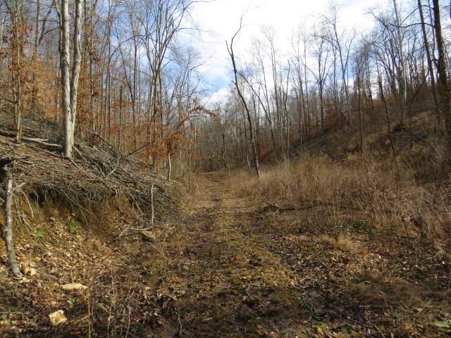 1074B Kersey Hollow Rd, Lynnville, TN 38472 - photo 16