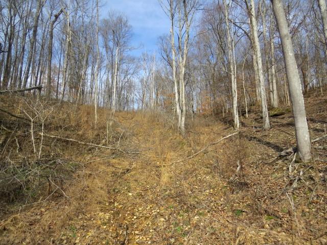 1074B Kersey Hollow Rd, Lynnville, TN 38472 - photo 15