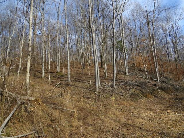 1074B Kersey Hollow Rd, Lynnville, TN 38472 - photo 14