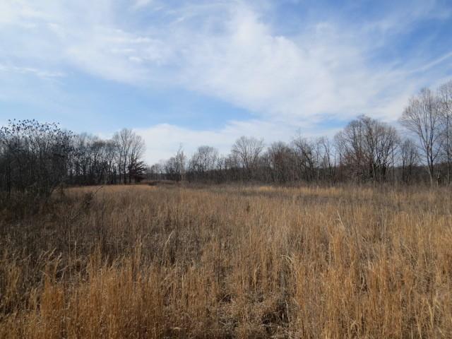1074B Kersey Hollow Rd, Lynnville, TN 38472 - photo 20