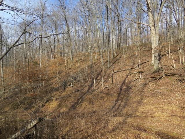 1074B Kersey Hollow Rd, Lynnville, TN 38472 - photo 8