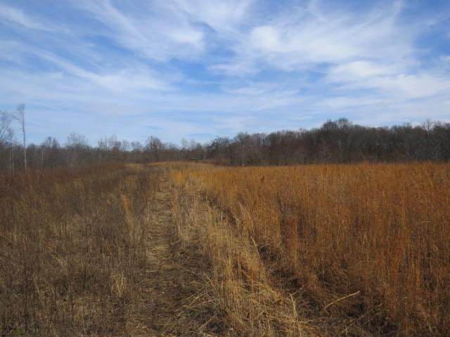 1074B Kersey Hollow Rd, Lynnville, TN 38472 - photo 24