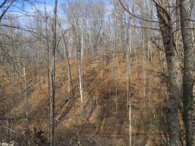 1074B Kersey Hollow Rd, Lynnville, TN 38472 - photo 28