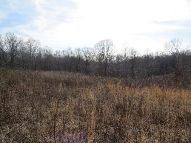 1074B Kersey Hollow Rd, Lynnville, TN 38472 - photo 19