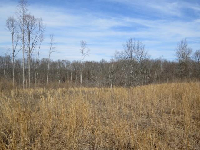 1074B Kersey Hollow Rd, Lynnville, TN 38472 - photo 22