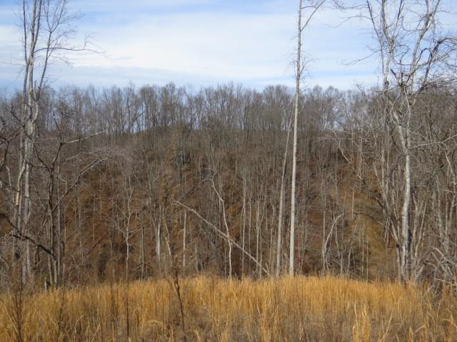 1074B Kersey Hollow Rd, Lynnville, TN 38472 - photo 26