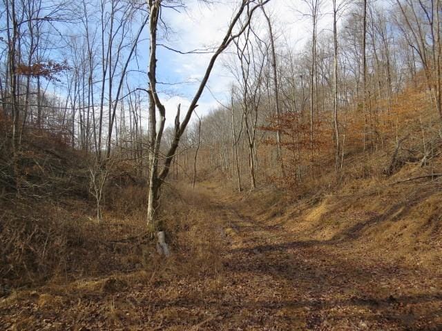 1074B Kersey Hollow Rd, Lynnville, TN 38472 - photo 30