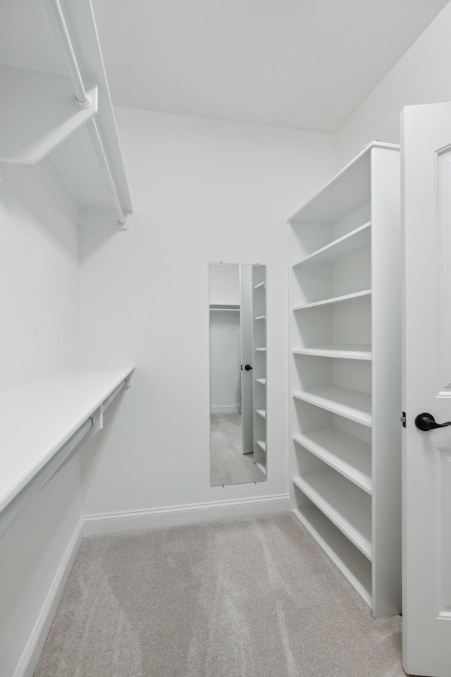 336 Alfred Ladd Rd E, Franklin, TN 37064 - spacious closet with carpet