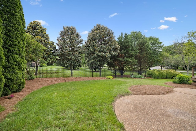 336 Alfred Ladd Rd E, Franklin, TN 37064 - view of property's community