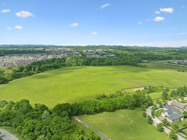 336 Alfred Ladd Rd E, Franklin, TN 37064 - bird's eye view