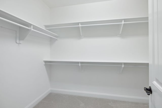 336 Alfred Ladd Rd E, Franklin, TN 37064 - walk in closet with carpet flooring