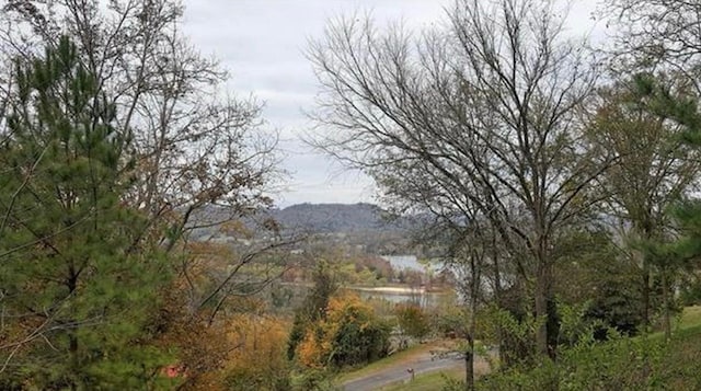 170 Shepherd Ln, Granville, TN 38564 - photo 2