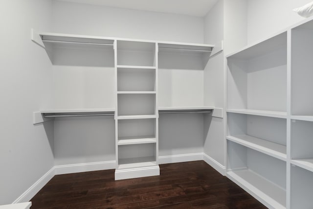 walk in closet with wood finished floors