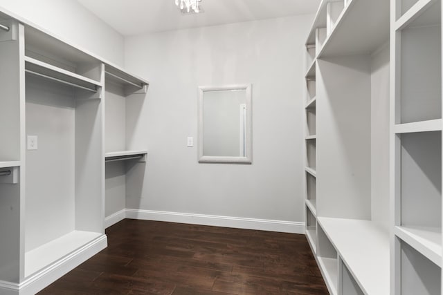 spacious closet with dark wood-style floors