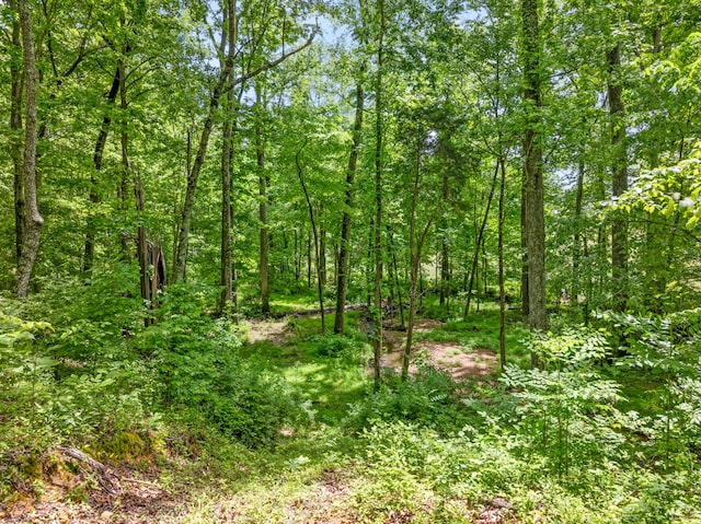 view of tree filled area