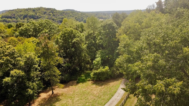 2531 Goose Creek Byp, Franklin, TN 37064 - photo 63