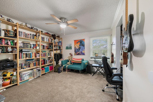 1120 Weeks Rd, Murfreesboro, TN 37127 - office area with ceiling fan, carpet floors, a textured ceiling, and ornamental molding
