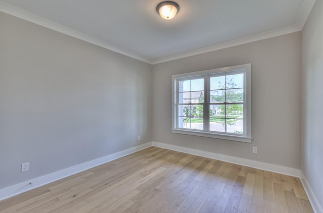 2235 Rockweather Ct, Murfreesboro, TN 37128 - photo 5