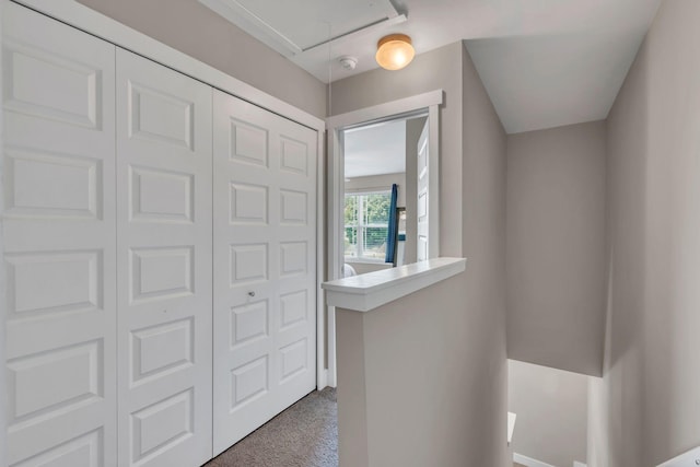 foyer entrance with carpet floors