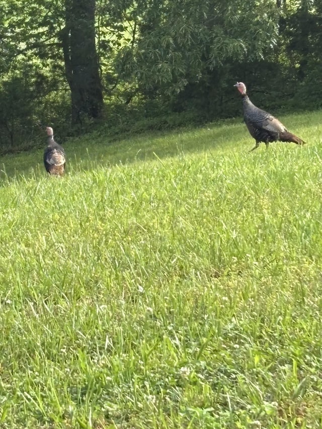 0 Hidden River Rd, Rock Island, TN 38581
