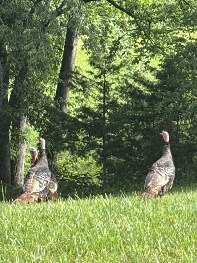 0 Hidden River Rd, Rock Island, TN 38581