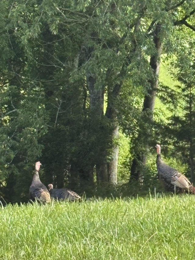 0 Hidden River Rd, Rock Island, TN 38581