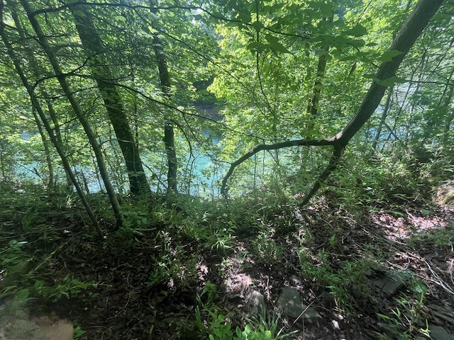 0 Hidden River Rd, Rock Island, TN 38581