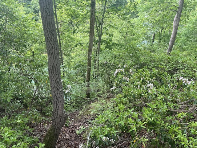 0 Hidden River Rd, Rock Island, TN 38581