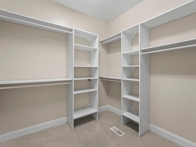 416 Overlook Cir, Tullahoma, TN 37388 - spacious closet with carpet flooring