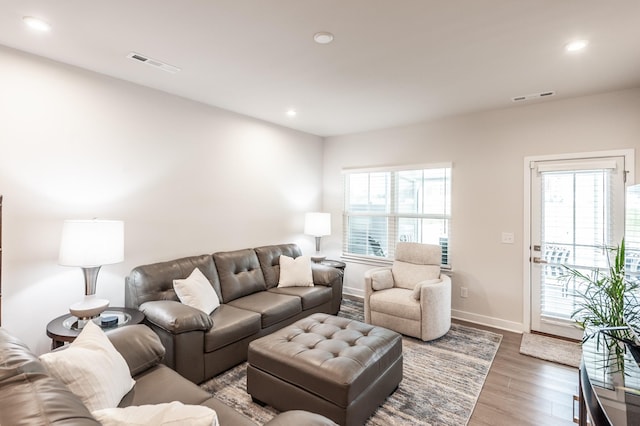 124 Great Falls Ct, Gallatin, TN 37066 - living room with healthy amount of natural light, wood finished floors, recessed lighting, and baseboards